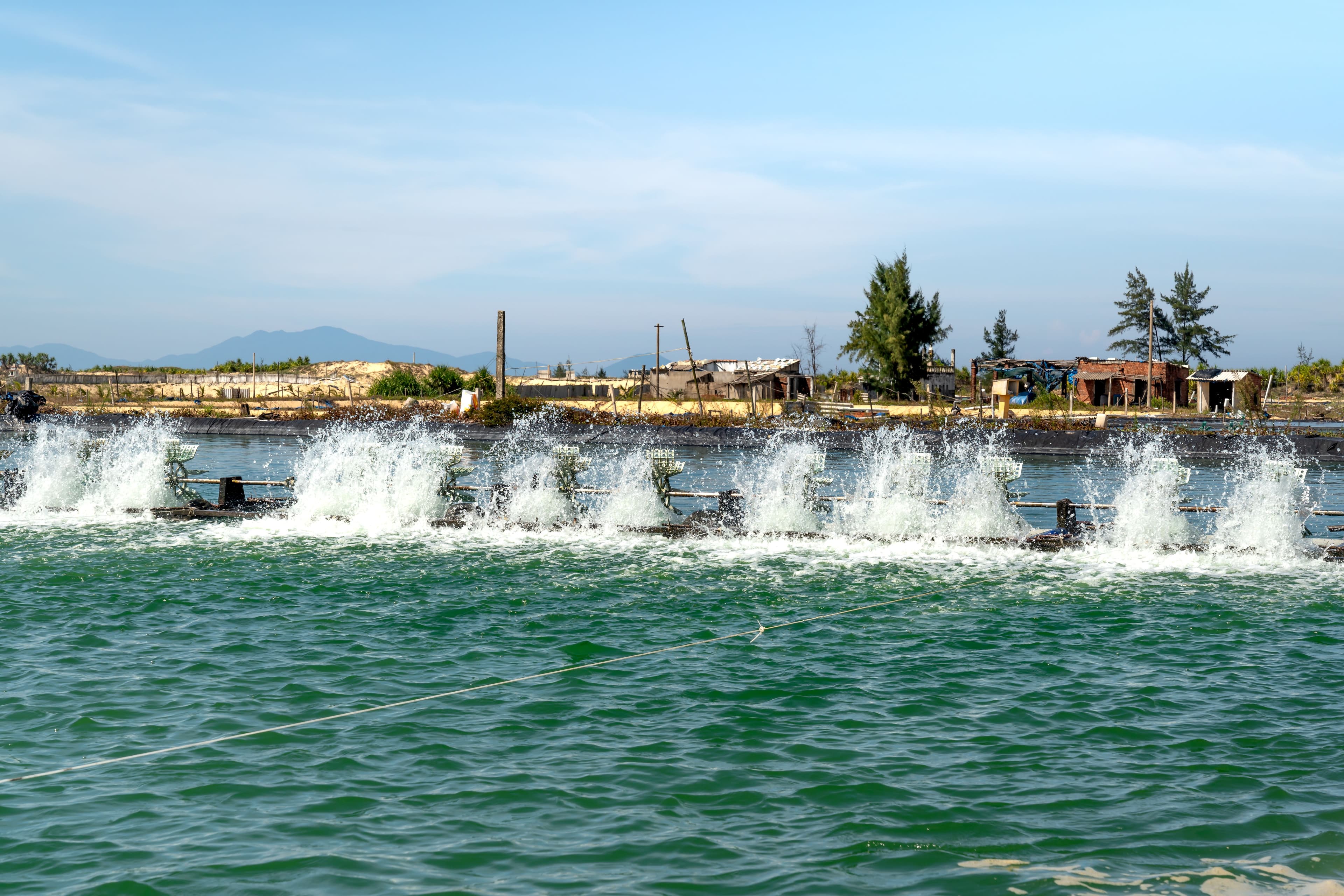 Paddlewheel aerators running on an aquaculture pond.