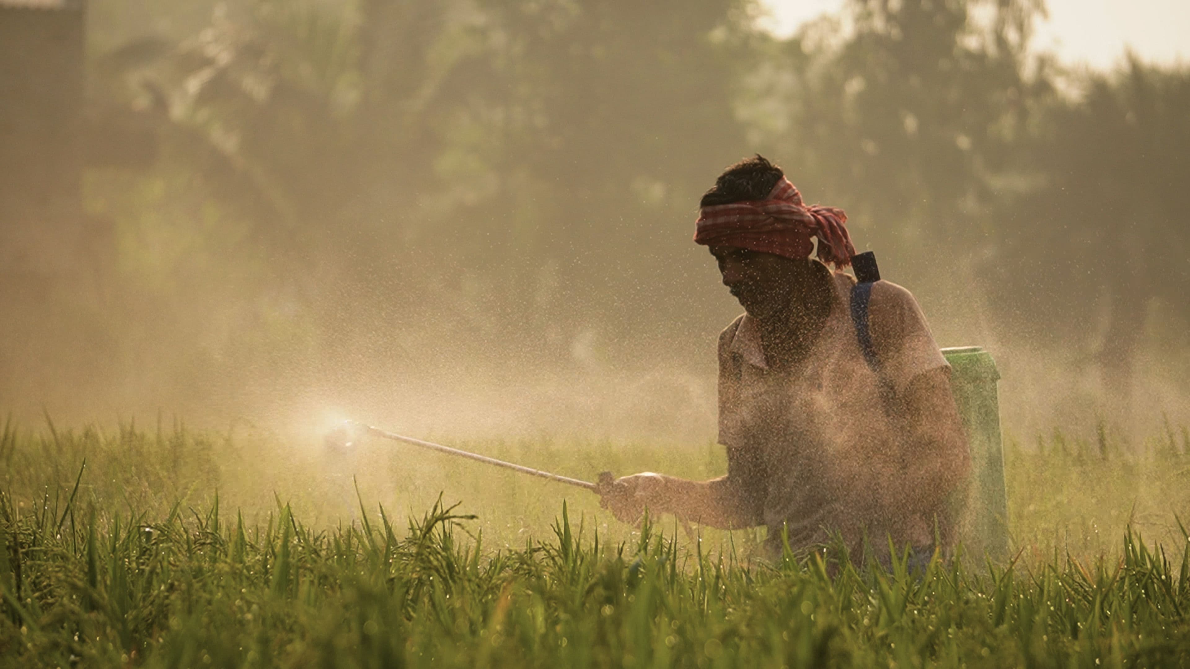 A farmer spraying a crop field.